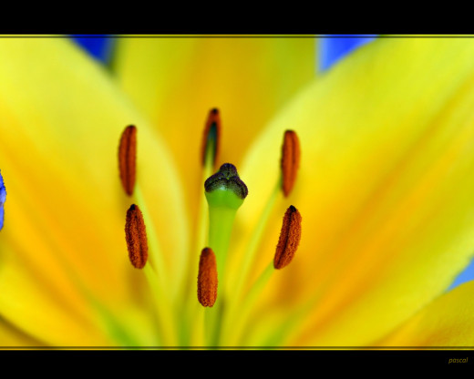 424371 (a): :1280x1024
